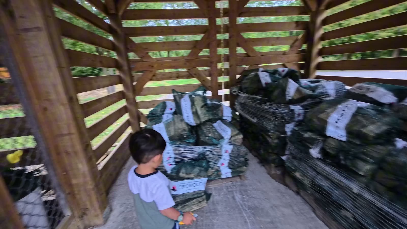 Spencer looking at bundles of firewood stacked in the wooden firewood shed outside the camp store
