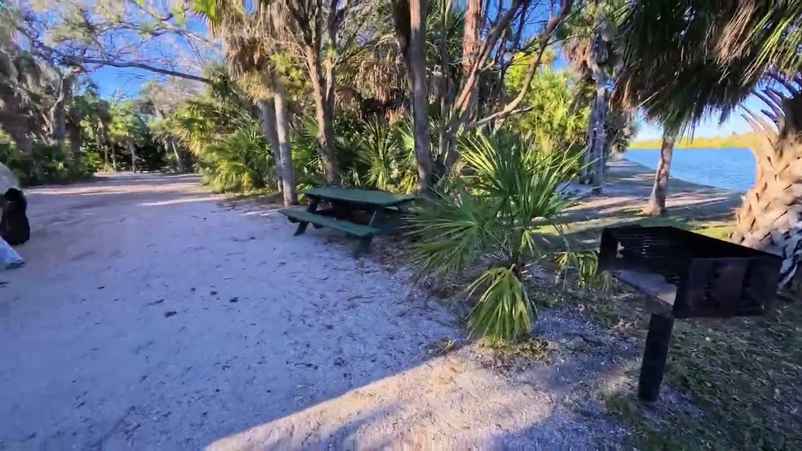 A sandy campsite with a picnic table and grill under palm trees next to the water in Florida